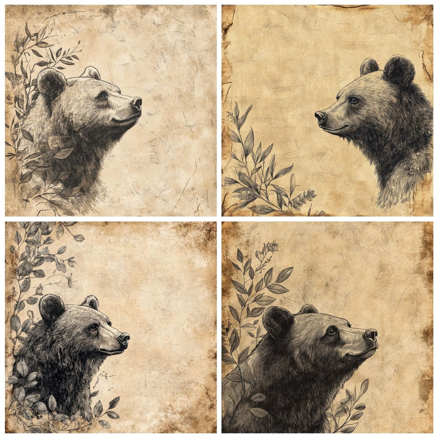 Ink Bear Eucalyptus Edge Digital Paper Pack (DDD002087)