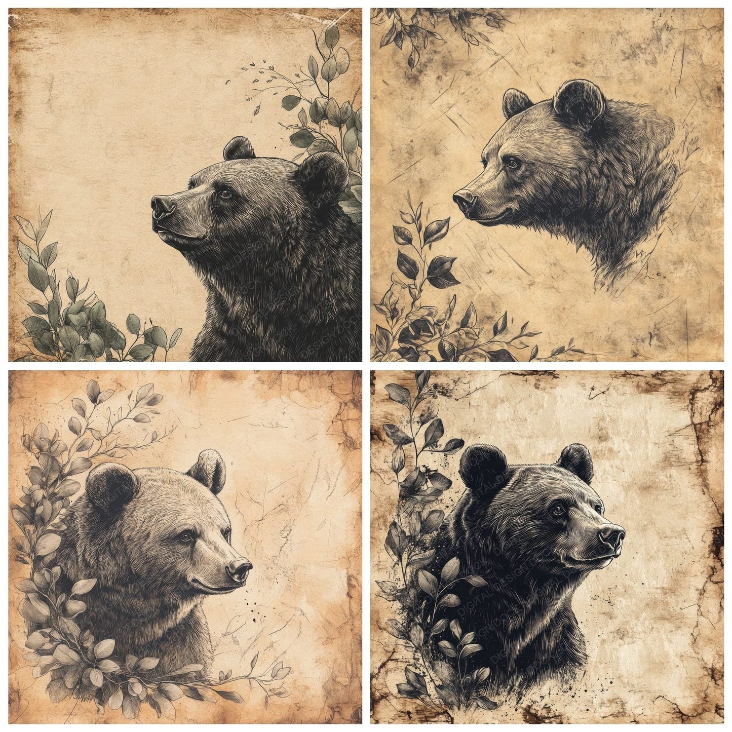 Ink Bear Eucalyptus Edge Digital Paper Pack (DDD002087)