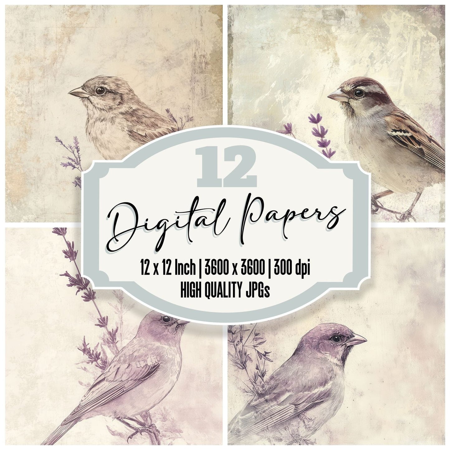 Ink Bird Lavender Detail Digital Paper Pack (DDD002088)