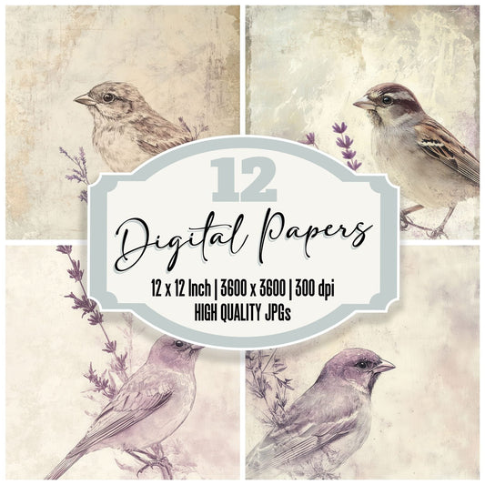 Ink Bird Lavender Detail Digital Paper Pack (DDD002088)