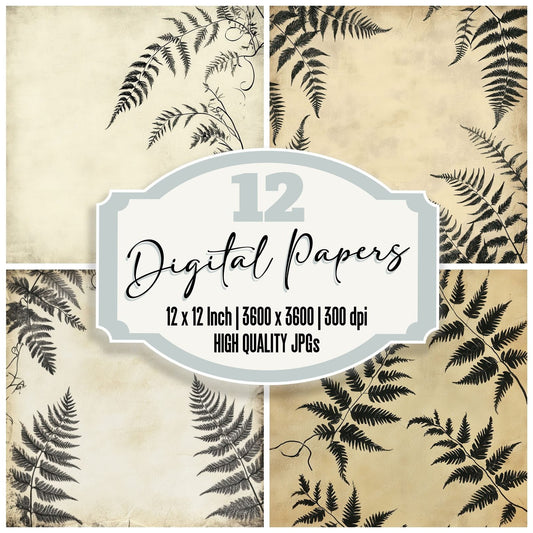 Ink Fern Curl Botanical Digital Paper Pack (DDD002102)