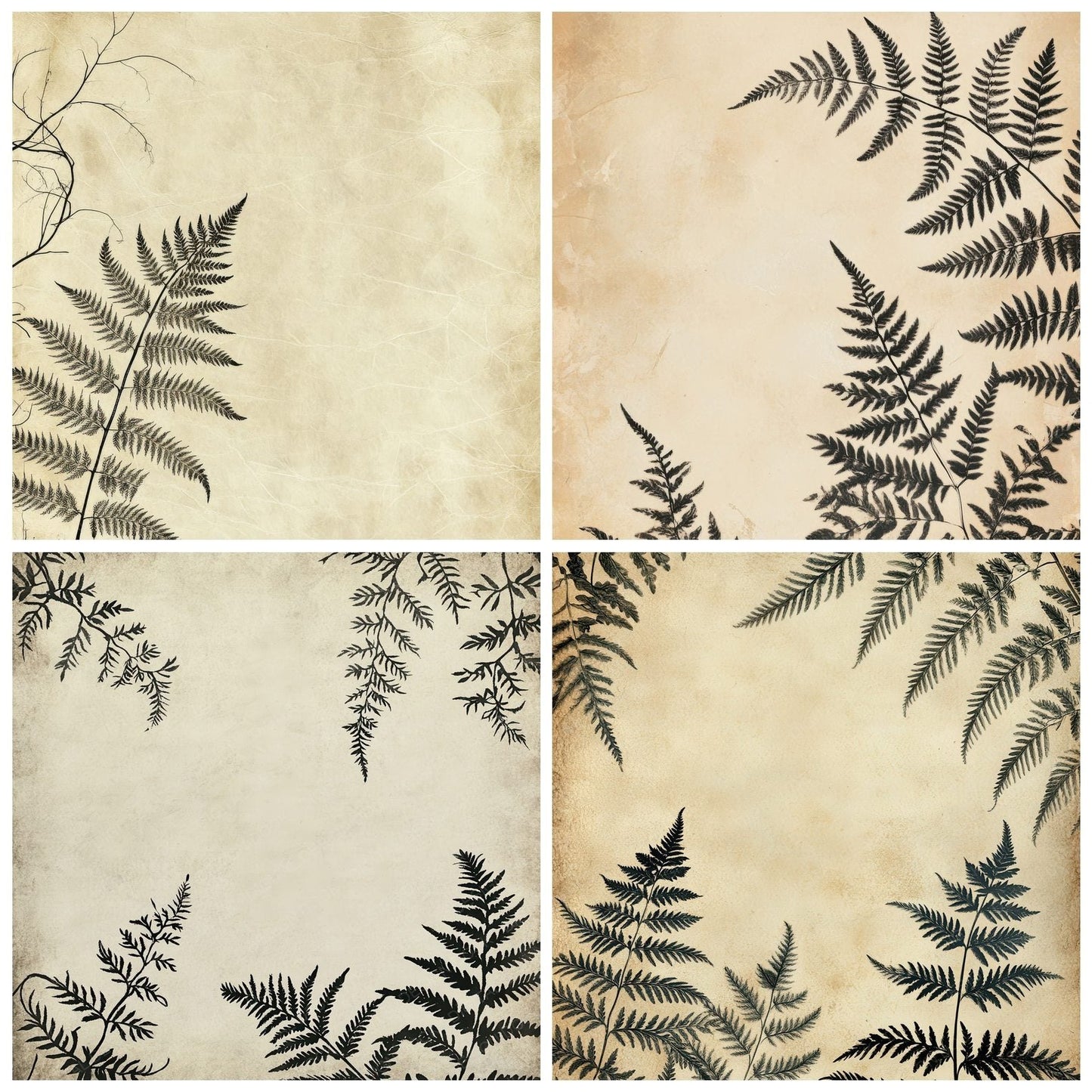 Ink Fern Curl Botanical Digital Paper Pack (DDD002102)