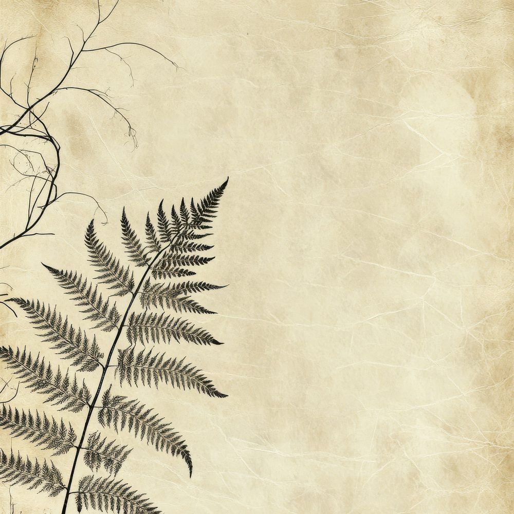 Ink Fern Curl Botanical Digital Paper Pack (DDD002102)