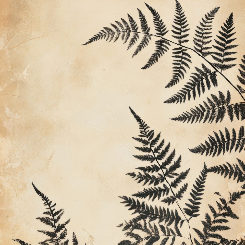 Ink Fern Curl Botanical Digital Paper Pack (DDD002102)