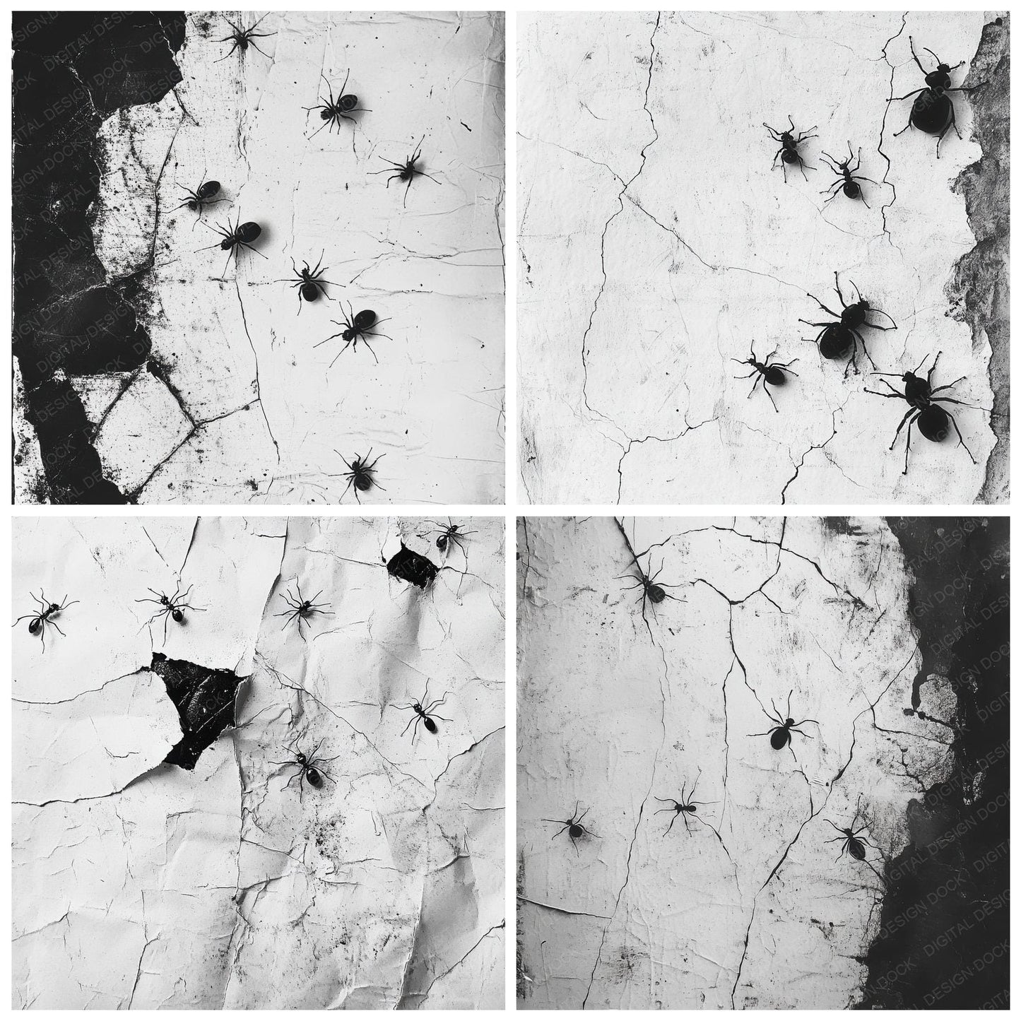 Ink Pressed Ants Digital Paper Pack (DDD002120)