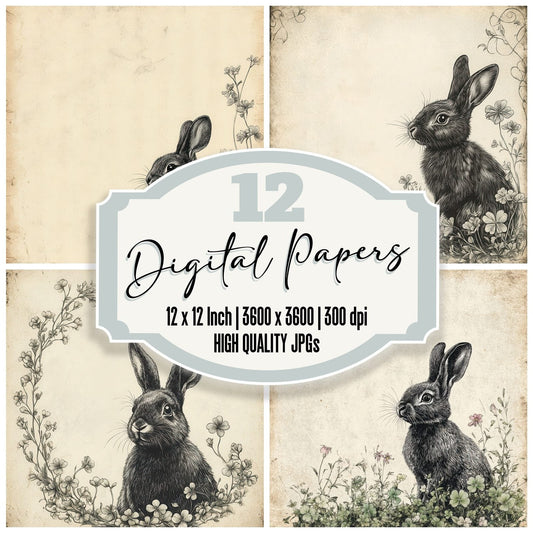 Ink Rabbit Clover Sketch Digital Paper Pack (DDD002121)