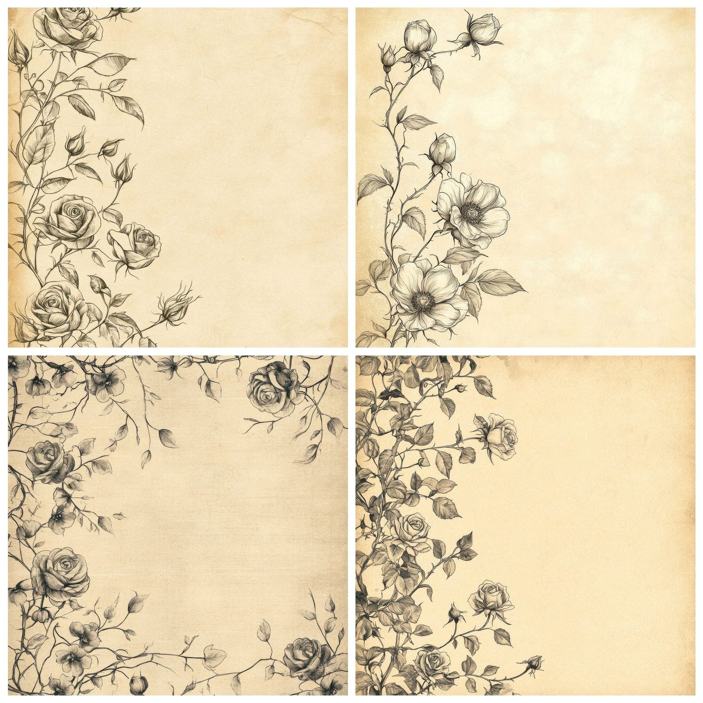 Ink Rose Vine Botanical Digital Paper Pack (DDD002123)