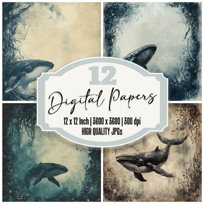 Ink Whale Kelp Border digital paper pack cover showing four of the 12 papers