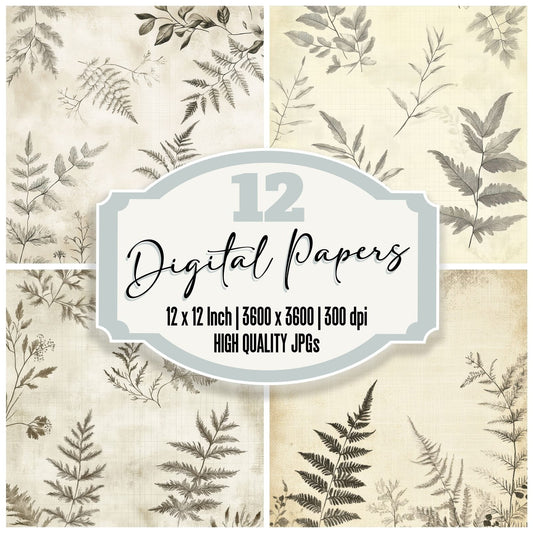 Ivory Fern Sketch Digital Paper Pack (DDD002170)