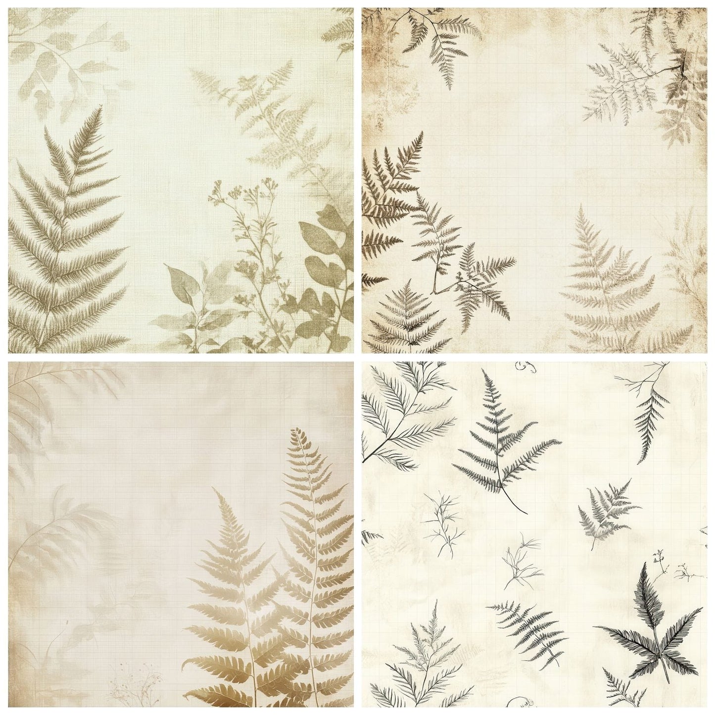 Ivory Fern Sketch Digital Paper Pack (DDD002170)