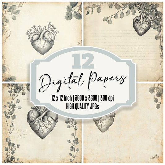 Ivory Heart Sketch Border Digital Paper Pack (DDD002178)