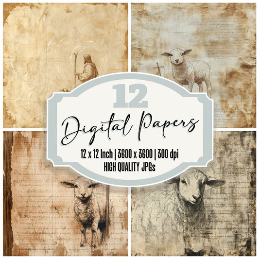 Lamb Shepherd Script Digital Paper Pack (DDD002271)
