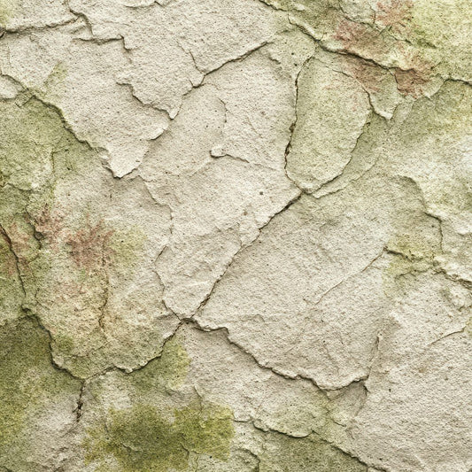 Lichen Stone Fossil Ghost Digital Paper Pack (DDD002333)