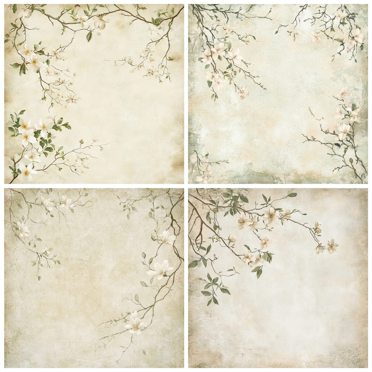 Magnolia Blossoms Digital Paper Pack (DDD002412)