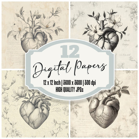 Magnolia Graphite Bloom Digital Paper Pack (DDD002413)