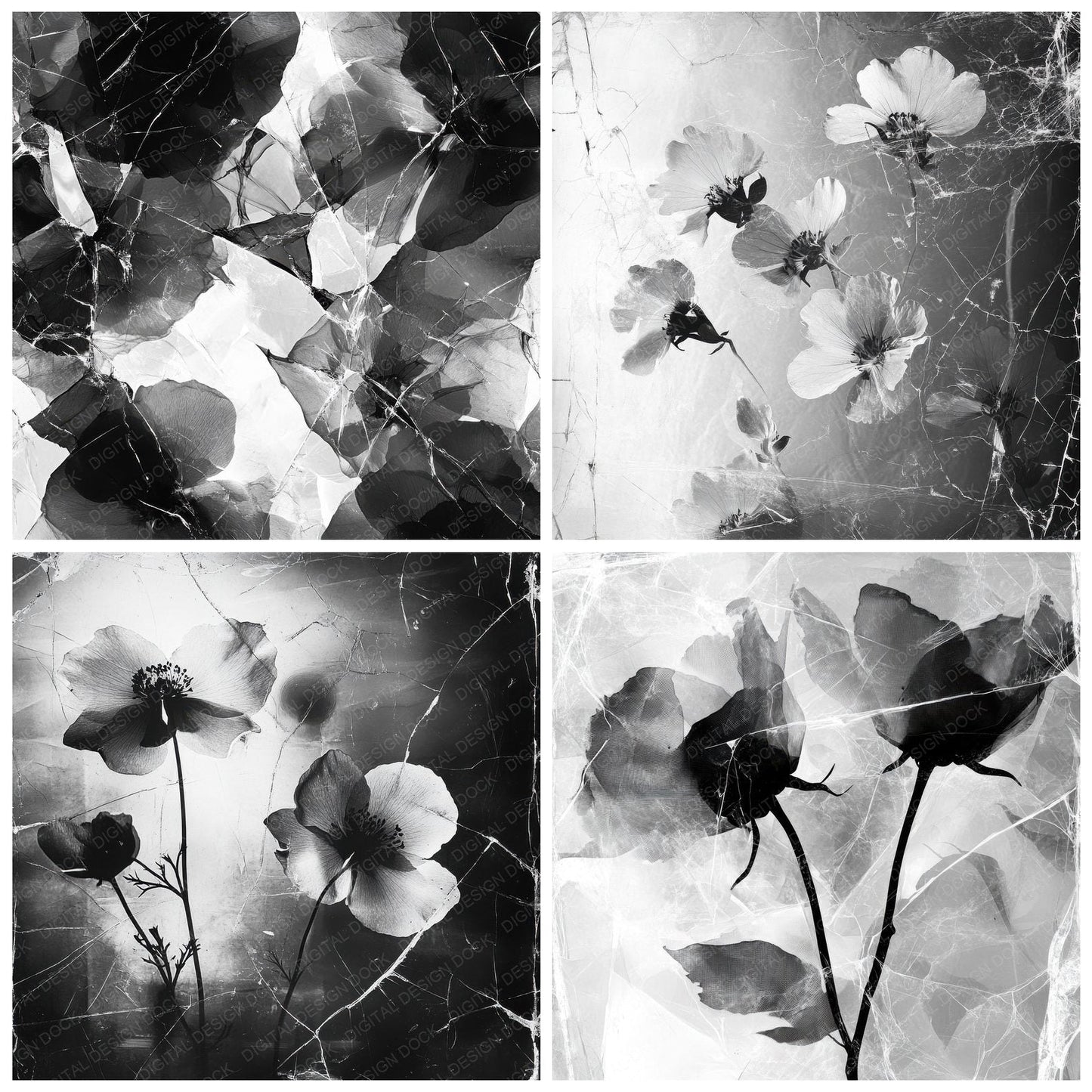 Monochrome Ghost Petals Digital Paper Pack (DDD002578)