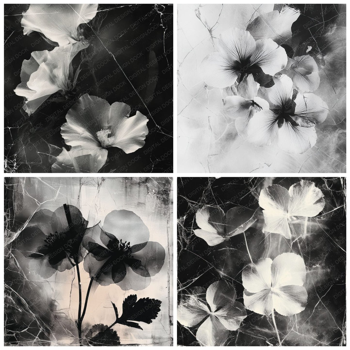 Monochrome Ghost Petals Digital Paper Pack (DDD002578)