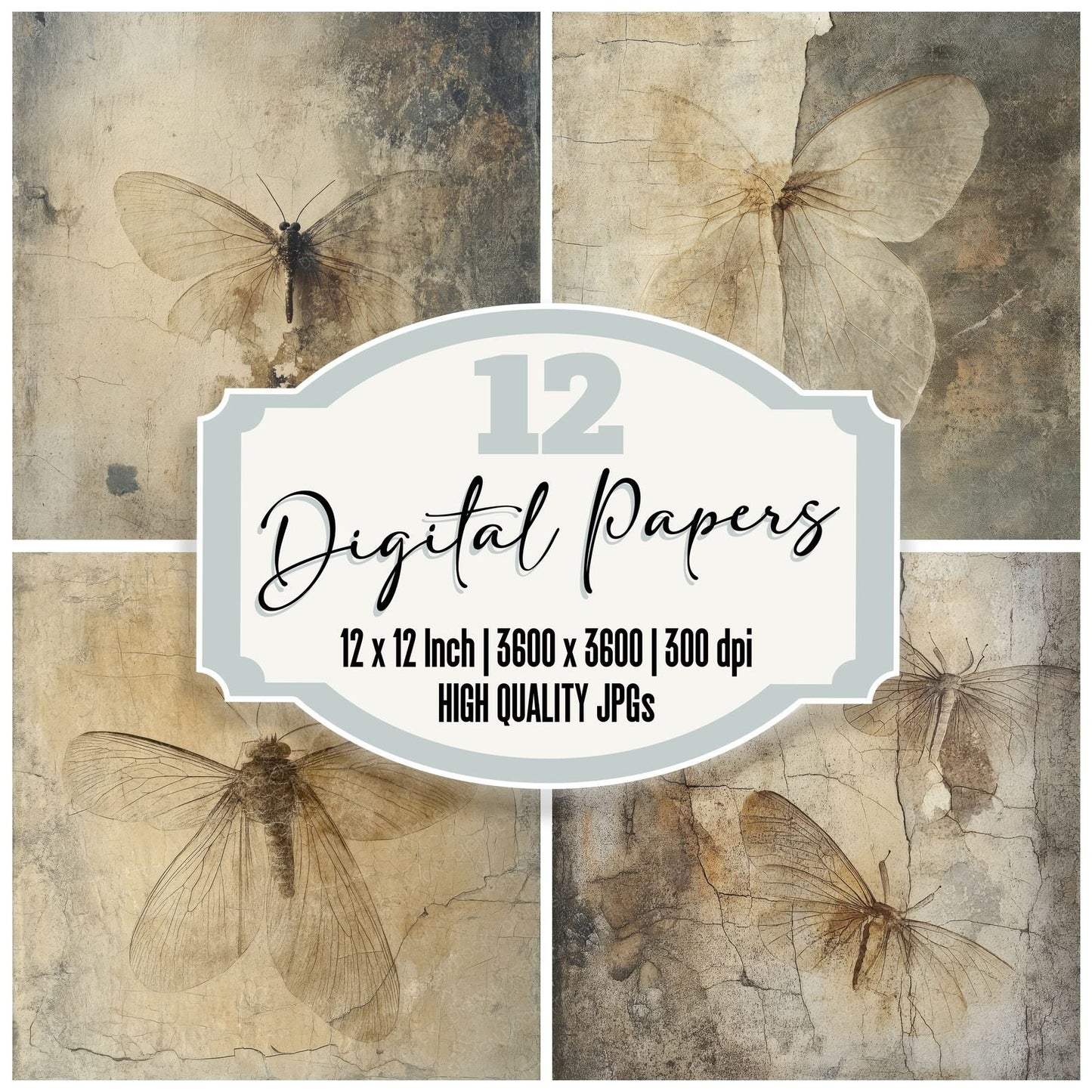 Moth Wing Fossils Background Digital Paper Pack (DDD002623)