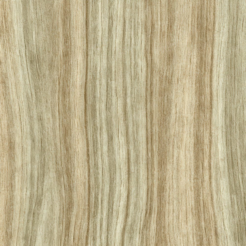 Olive Ash Pale Tan Digital Paper Pack (DDD002817)