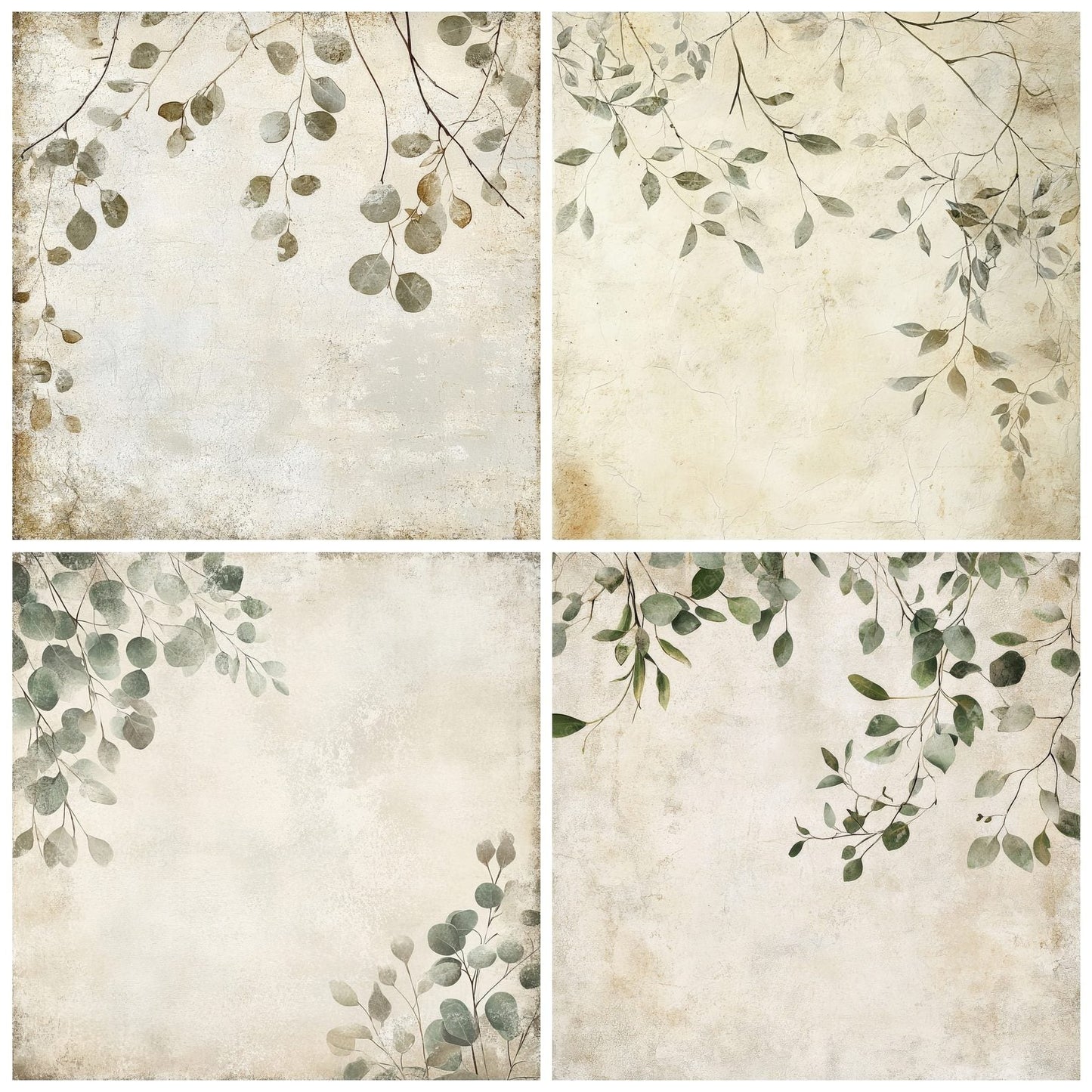 Olive Branches and Eucalyptus Leaves Digital Paper Pack (DDD002818)