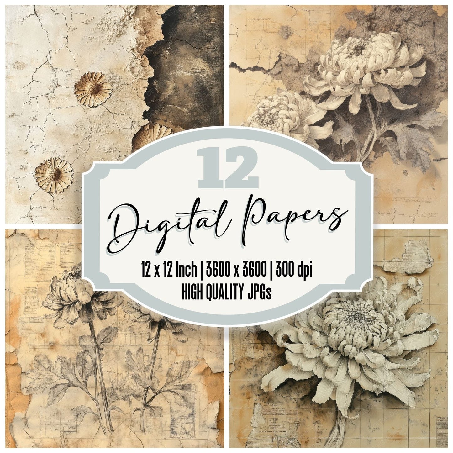 Ossified Chrysanthemum Fossil Digital Paper Pack (DDD002839)