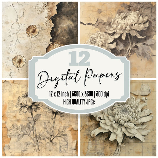 Ossified Chrysanthemum Fossil Digital Paper Pack (DDD002839)