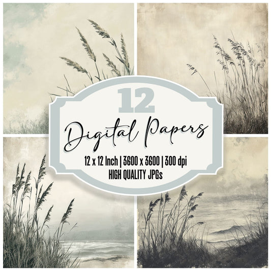 Overgrown Coastal Grass Digital Paper Pack (DDD002845)