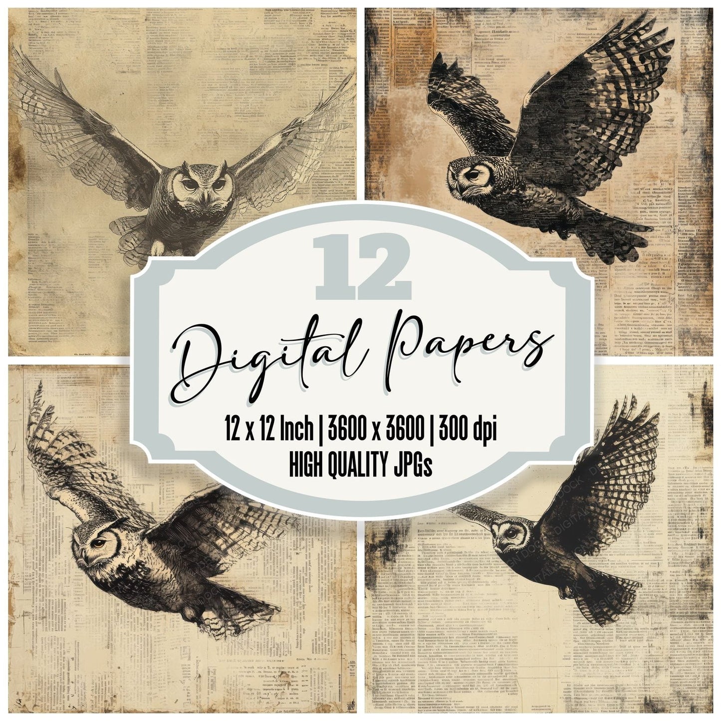Owl Clipping Edge Digital Paper Pack (DDD002849)
