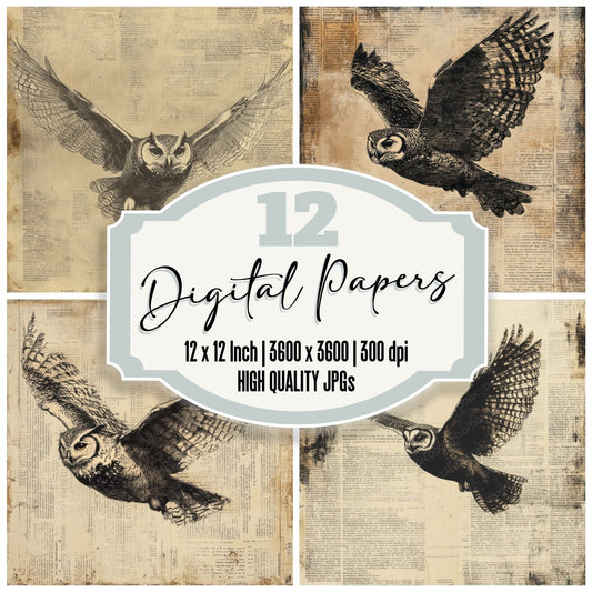 Owl Clipping Edge Digital Paper Pack (DDD002849)