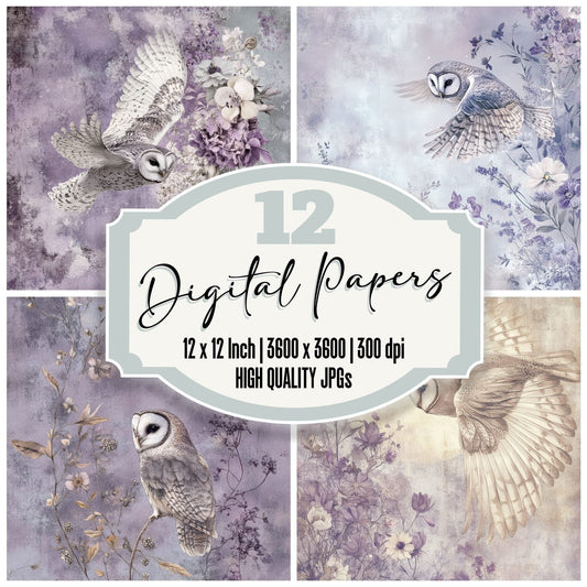 Owl Wing Mist Digital Paper Pack (DDD002854)