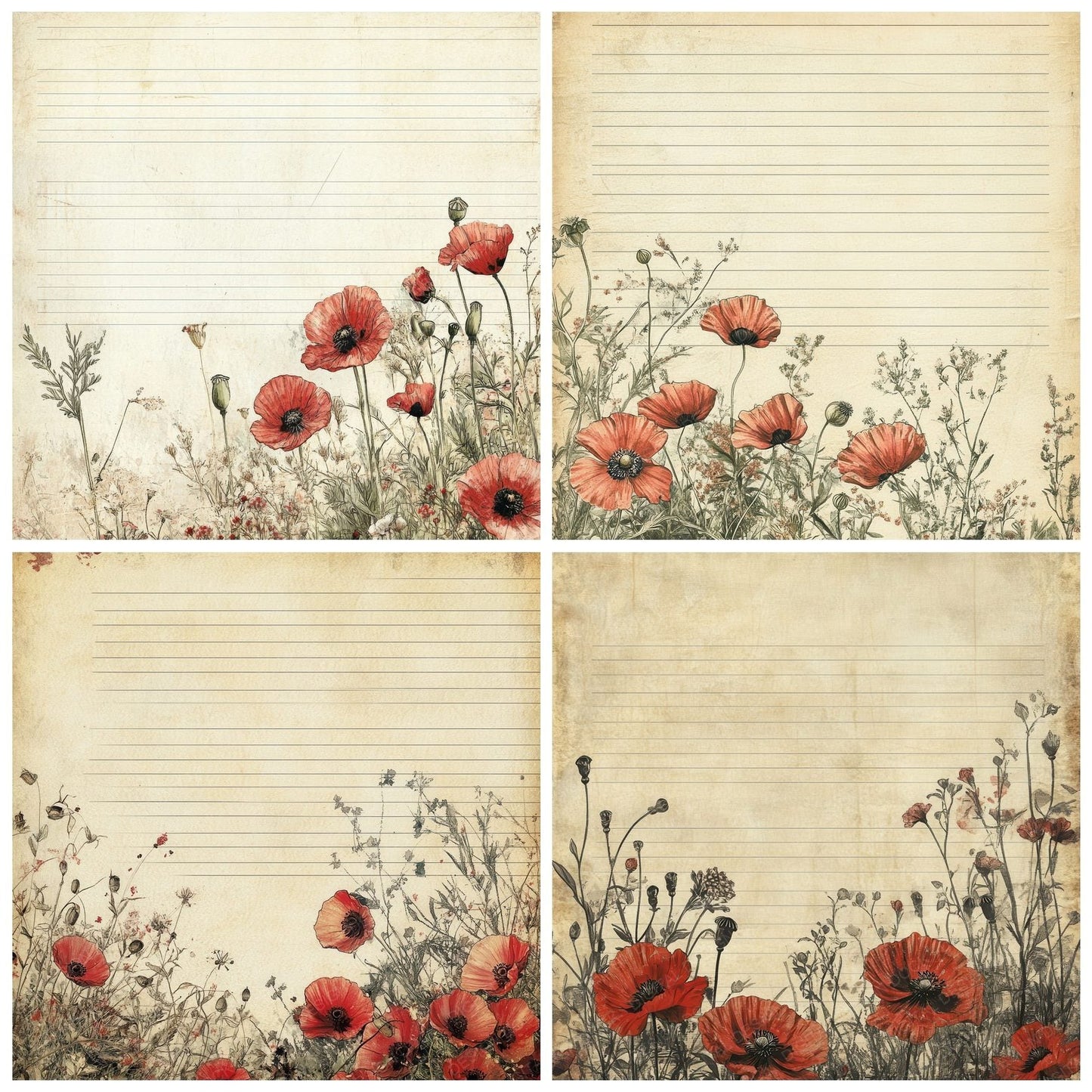 Parchment Poppy Lines Digital Paper Pack (DDD002891)