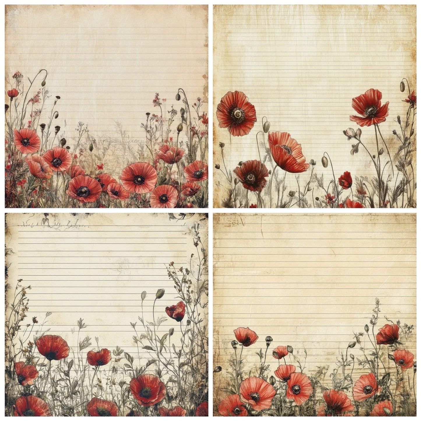 Parchment Poppy Lines Digital Paper Pack (DDD002891)
