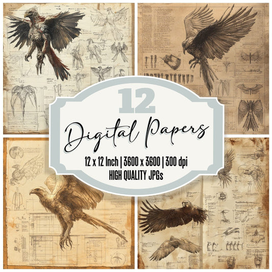 Phoenix Diagram Parchment Digital Paper Pack (DDD002986)