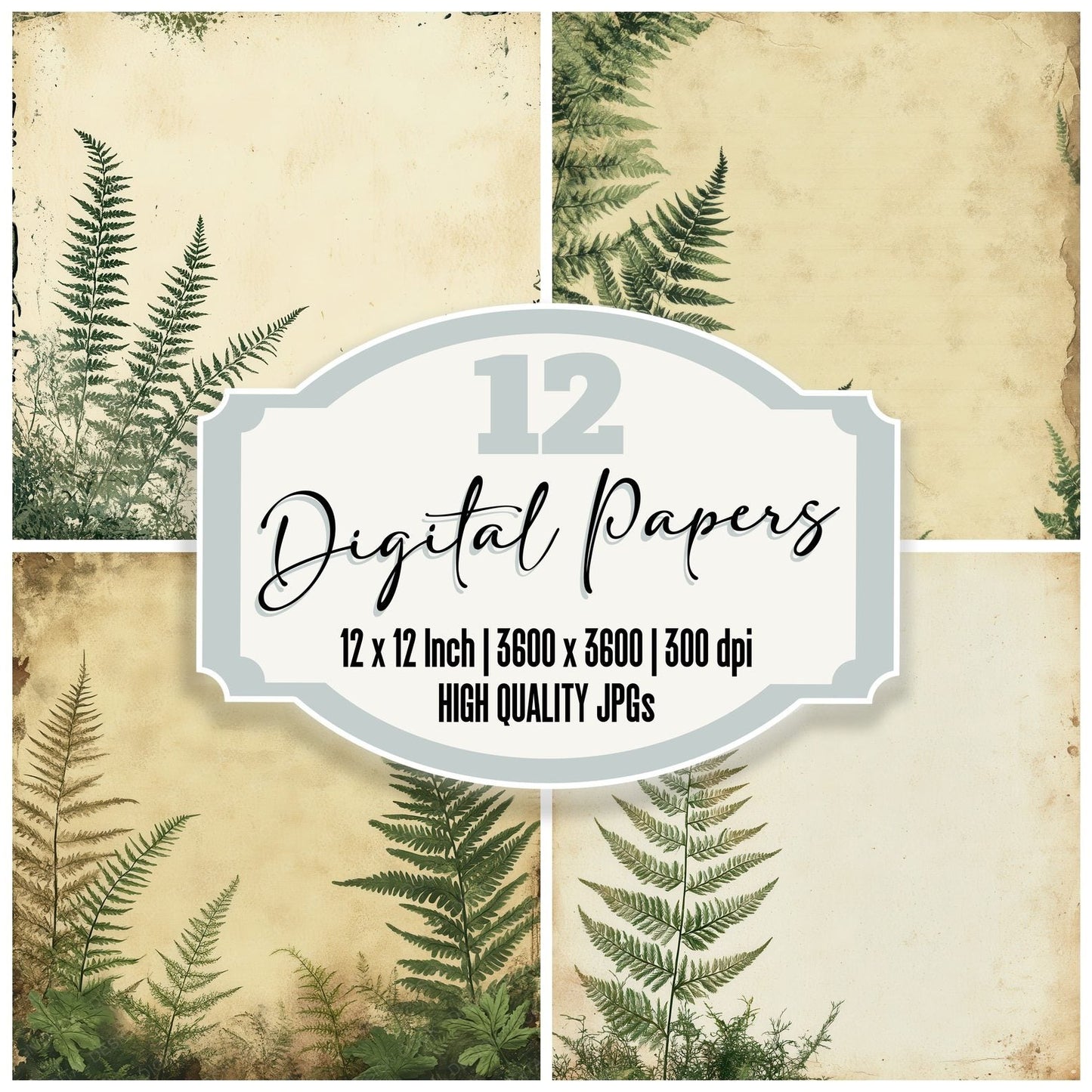 Pressed Fern Ink Shade Digital Paper Pack (DDD003068)