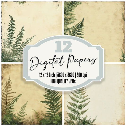Pressed Fern Ink Shade Digital Paper Pack (DDD003068)