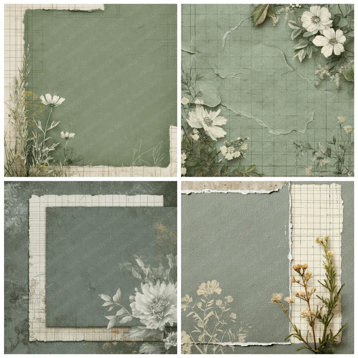 Sage Chalk Botanical Grid Digital Paper Pack (DDD003340)