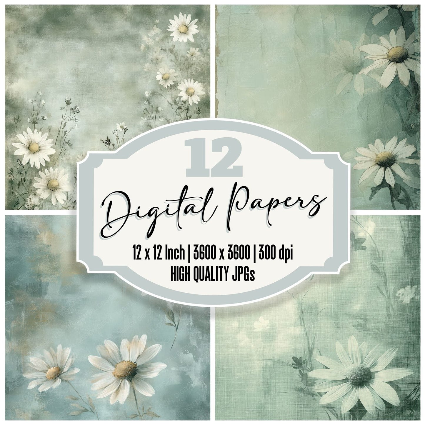Sage Daisy Outline Digital Paper Pack (DDD003342)