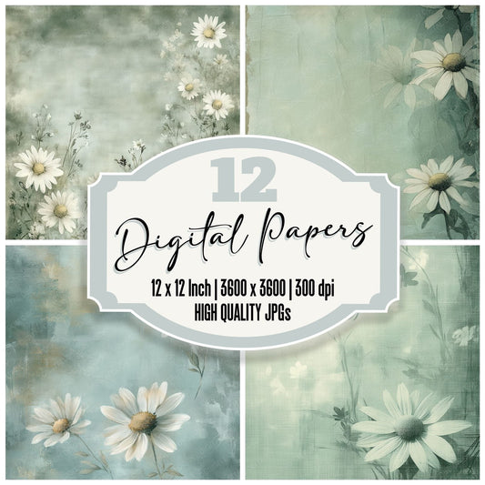 Sage Daisy Outline Digital Paper Pack (DDD003342)