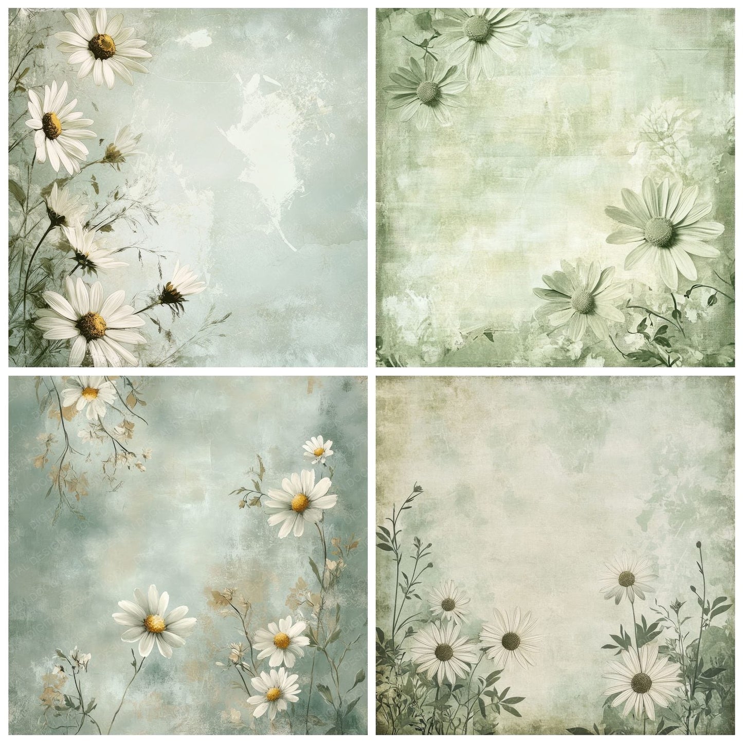 Sage Daisy Outline Digital Paper Pack (DDD003342)
