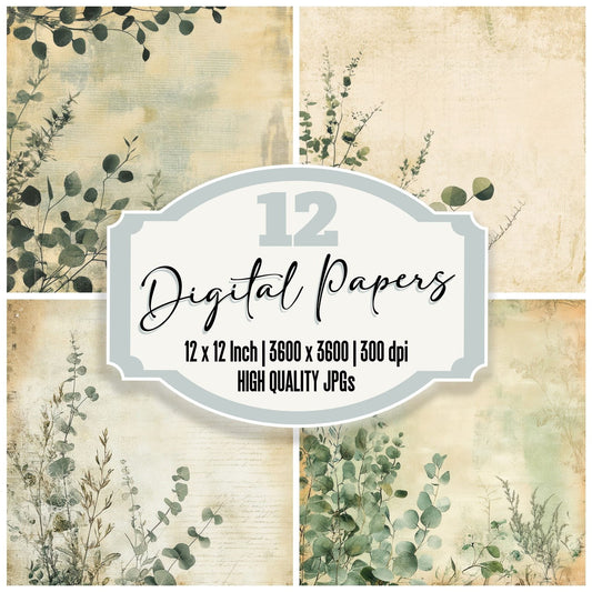 Sage Eucalyptus Journal Digital Paper Pack (DDD003343)