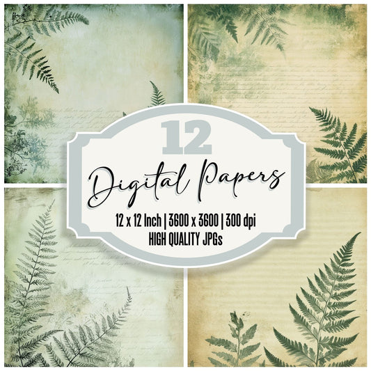 Sage Fern Script Digital Paper Pack (DDD003344)