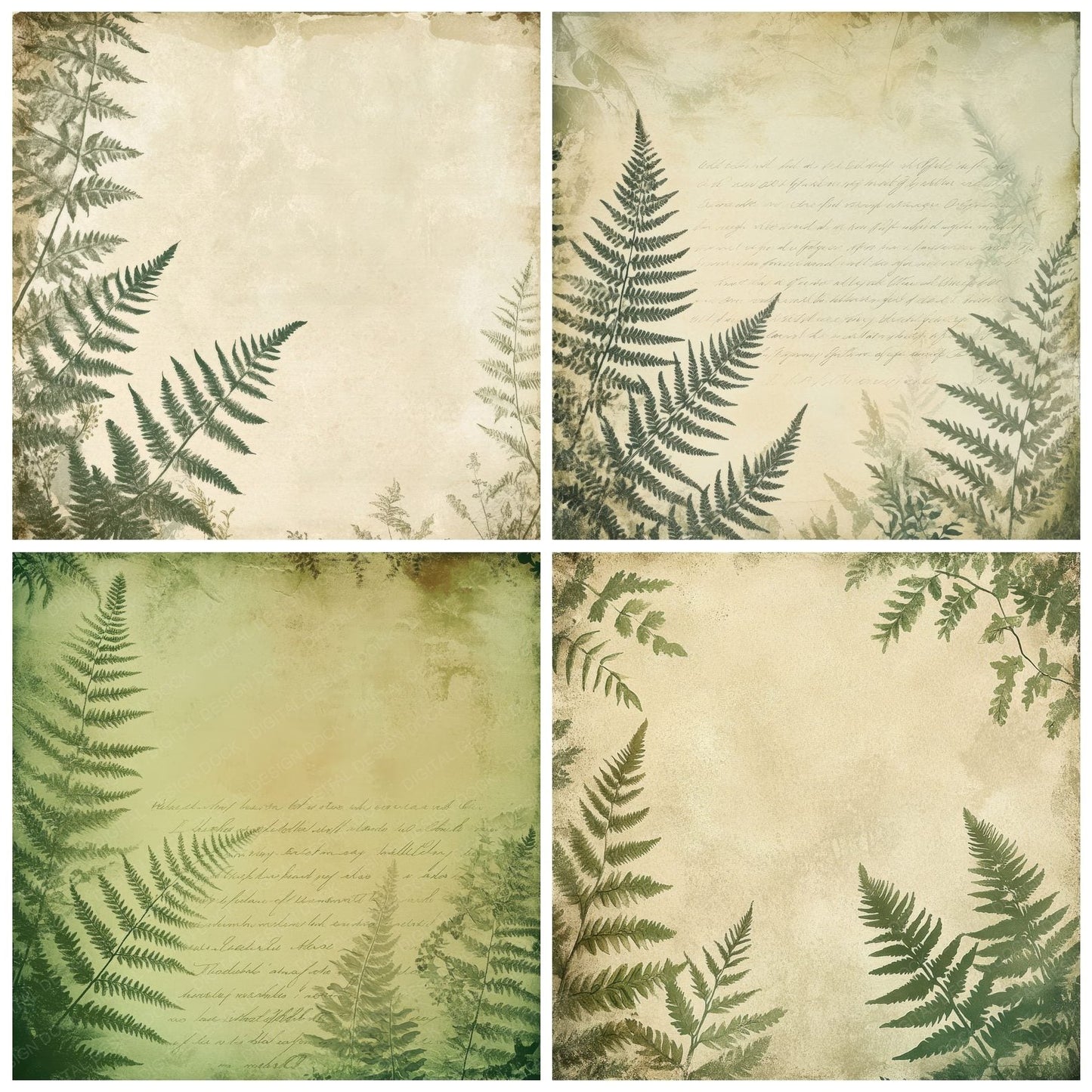 Sage Fern Script Digital Paper Pack (DDD003344)