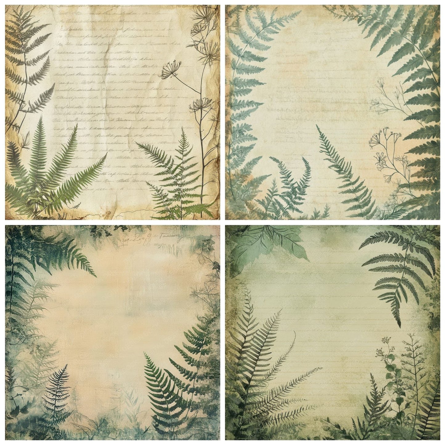 Sage Fern Script Digital Paper Pack (DDD003344)