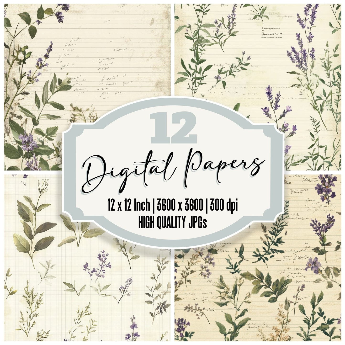 Sage Lavender Notes Digital Paper Pack (DDD003352)