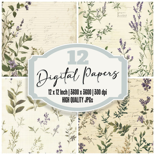 Sage Lavender Notes Digital Paper Pack (DDD003352)