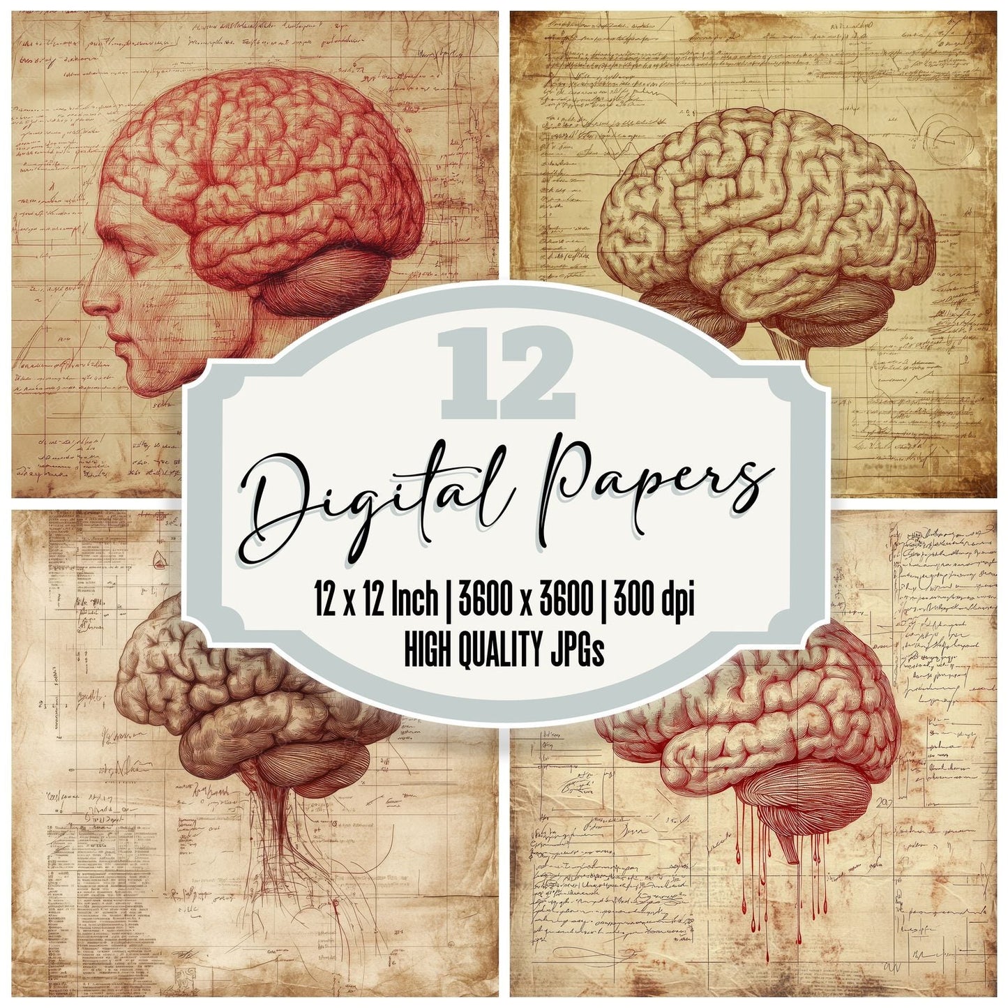 Sepia Cortex Script Digital Paper Pack (DDD003448)