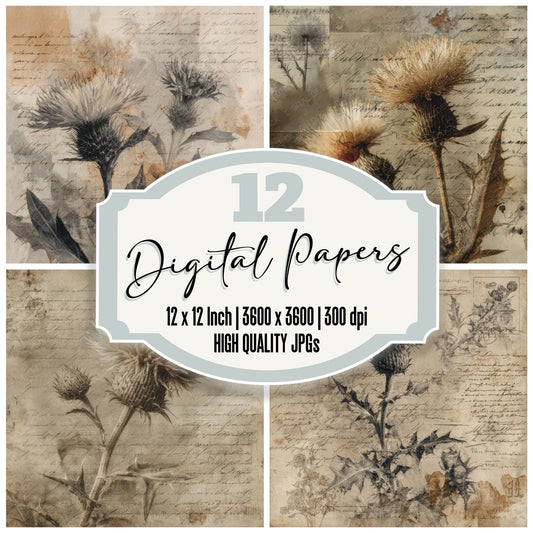 Sepia Thistle Script Digital Paper Pack (DDD003456)