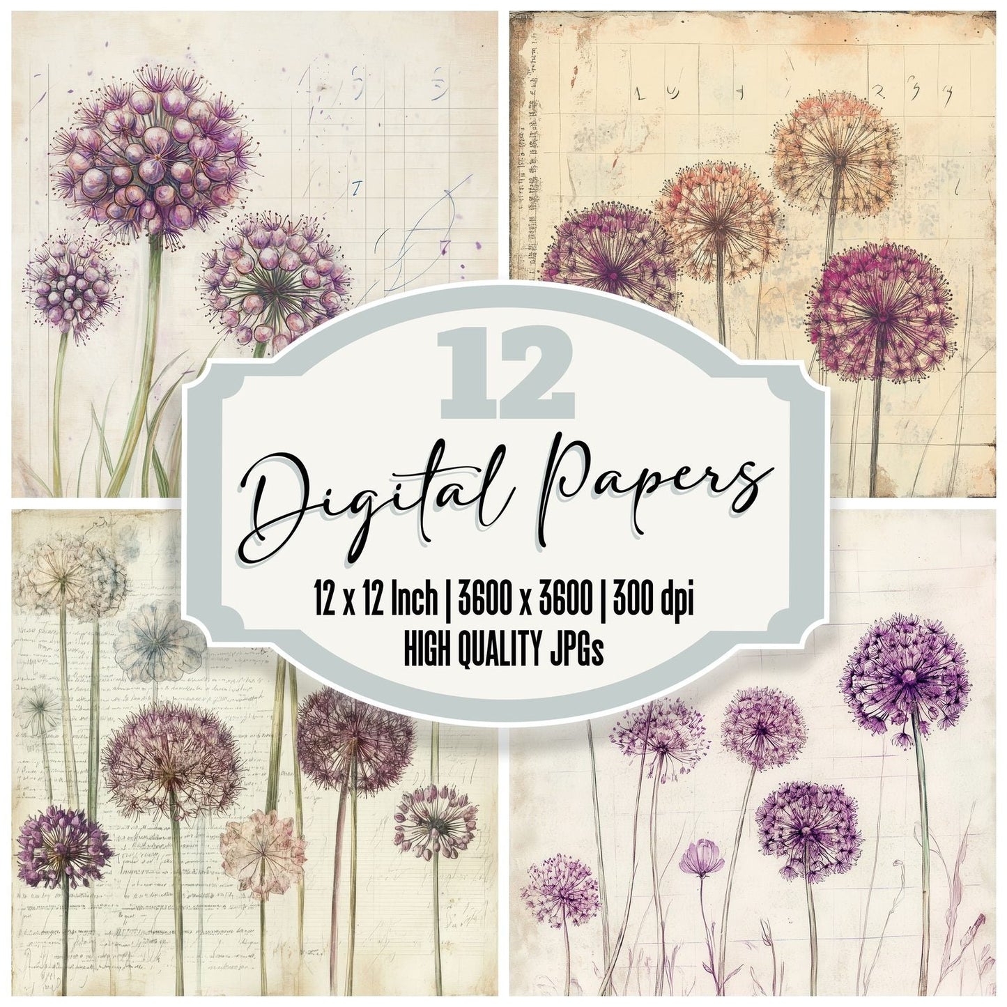 Sketch Allium Notepad Digital Paper Pack (DDD003499)