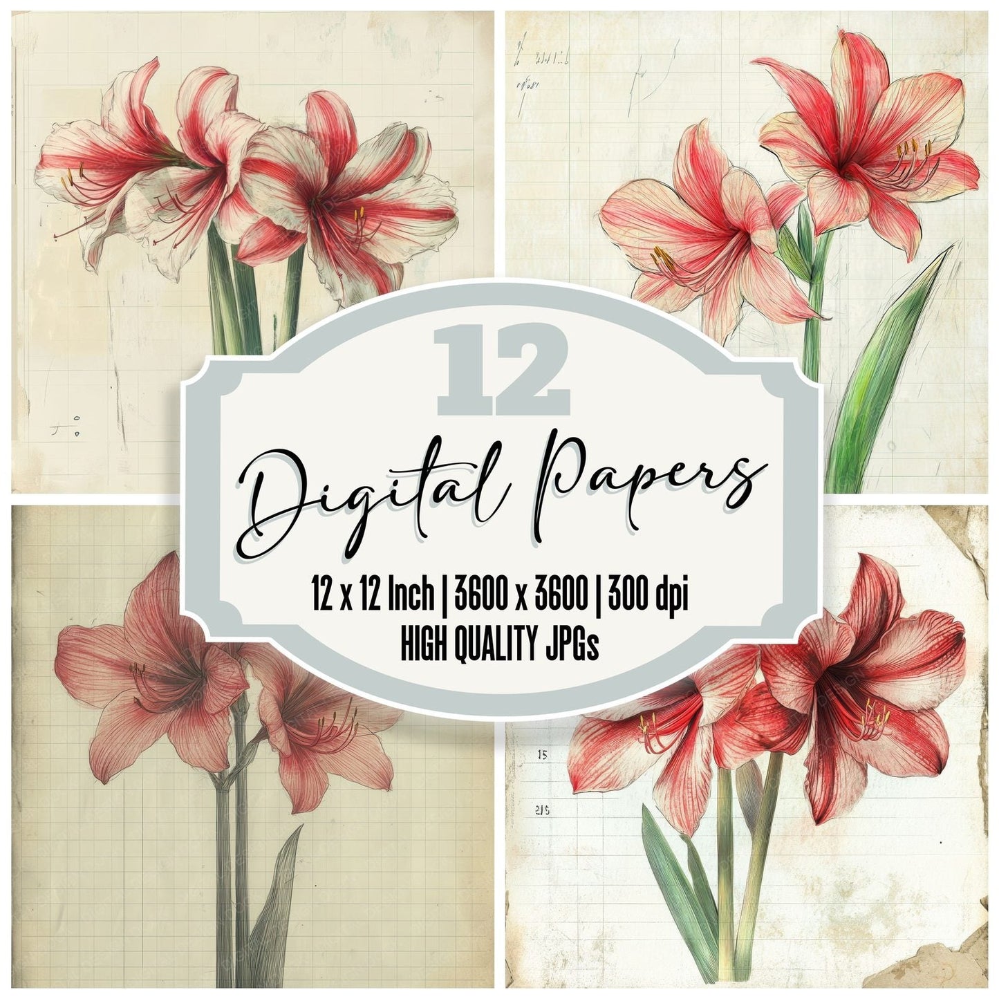 Sketch Amaryllis Notepad Digital Paper Pack (DDD003500)