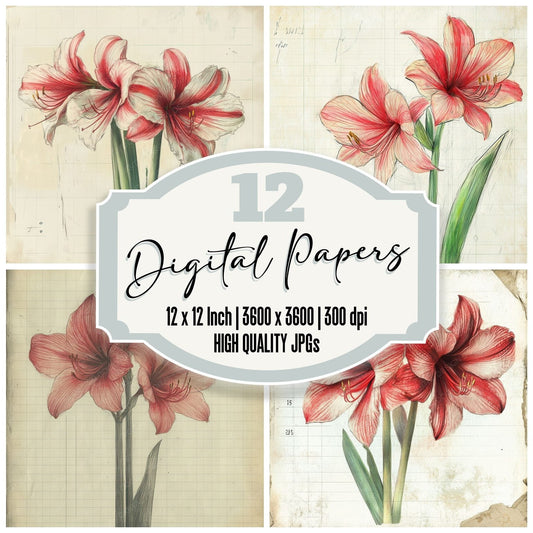 Sketch Amaryllis Notepad Digital Paper Pack (DDD003500)